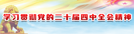 学习贯彻党的二十届四中全会精神